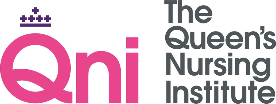 QNI Logo